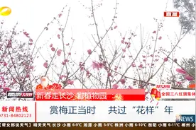 新春走长沙·省植物园：赏梅正当时，共过“花样”年！视频封面