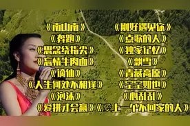 快节奏｛南山南｝｛奔跑｝｛思念绕指尖｝｛忘情牛肉面｝｛谪仙｝视频封面