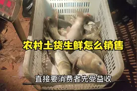 农村土货生鲜怎么销售视频封面