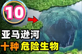 专门吃男性“蛋蛋”的鱼！亚马逊河的这十种危险动物你绝对想不到视频封面