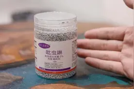 养花长了虫子怎么办？园艺师教你，用吡虫啉，就可以彻底消灭视频封面