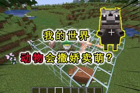 我的世界：浣熊会讨食物？棕熊还能骑乘，诡异生物和动物的结合！