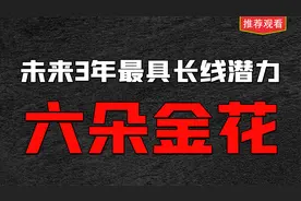 未来3年最具备长线潜力的6朵金花，建议收藏研究视频封面