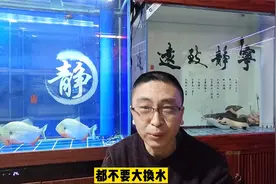为什么不能给鱼缸大换水，底滤仓最好也别全换？视频封面