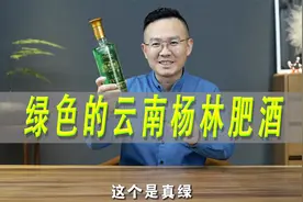 绿色的酒-云南名酒杨林肥酒测评视频封面