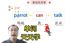 英语单词和音标练习，一次学三个单词，parrot can talk视频封面