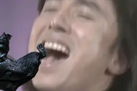 【鬼畜一品堂】布施明杀乌鸡了啊啊啊啊啊