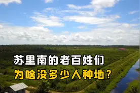 苏里南的老百姓们，为什么几乎都不种地？他们平时靠什么生活？视频封面
