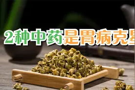 胃不好别怕，2种中药是胃病克星，没事泡水喝，养胃又护胃视频封面