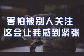 害怕别人看着我，这会让我感到非常紧张