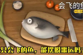 一只会飞的鱼，最后的结局却那么现实，1分钟看短片《会飞的鱼》