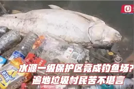 水源一级保护区竟成钓鱼场？遍地垃圾村民苦不堪言视频封面