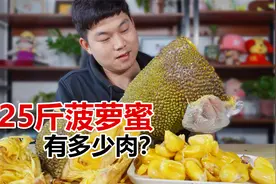 25斤超大菠萝蜜能出多少肉？78块一个，剥起来也太费劲了吧！视频封面