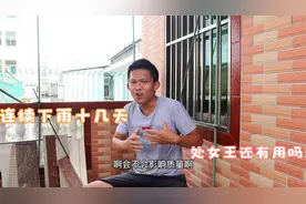 连续下雨十几天，新蜂王无法外出交尾，那么这个蜂王还能用吗？视频封面