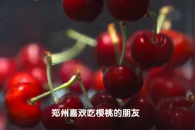 #乡村振兴看这里 新安县这个樱桃村为何能让你实现樱桃自由？视频封面