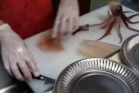 来一份鲜活得哇哇跳的鱿鱼刺身吧视频封面