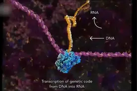 生命遗传密码DNA和RNA：人类生命起源于火星吗？视频封面