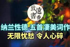 纳兰性德五首凄美的词作，柔肠百转、充满了无限忧愁！令人心碎视频封面