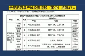 合肥肥西县国企社会招聘47人，大专可报，专业不限，12-14万/年视频封面