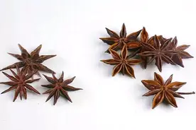 八角可别乱买，有的八角是假的，有“剧毒”，教你如何挑选真八角