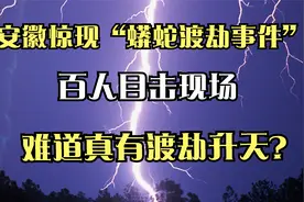 安徽惊现“蟒蛇渡劫事件”，百人目击现场，难道真有渡劫升天？视频封面