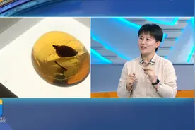 一朵花绽放亿年！青岛85后女教授为你解密古老生命之花背后的故事视频封面