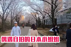 河南姑娘逛日本樱花街，偶遇樱花下自拍小姐姐，景美人更美视频封面