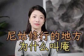 同样是出家，为什么和尚住的叫“寺”，尼姑住的叫“庵”？视频封面