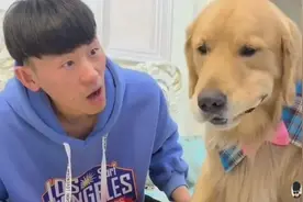 主人吃包子，哈士奇和金毛用玩具和主人交换包子，结果笑喷了视频封面