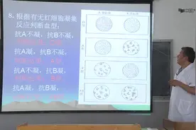 5实验07-ABO血型的鉴定.ts视频封面