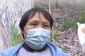 在小区里喂养流浪猫，57岁保洁阿姨遭到辞退，物业：就要辞退你视频封面