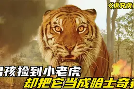 一部关于亲情的电影，主角却是两只老虎，虎年才看懂的3个名场面视频封面