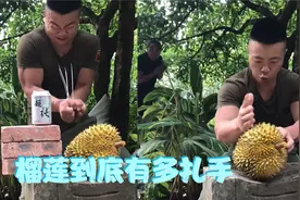 榴莲想吃自己打 功夫小伙铁手挑战孙悟空都不敢开的铁榴莲视频封面