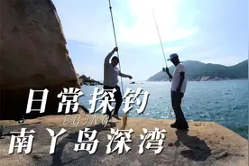 香港南丫岛深湾岸钓鱿鱼-绿海龟的繁殖地