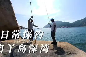 香港南丫岛深湾岸钓鱿鱼-绿海龟的繁殖地视频封面