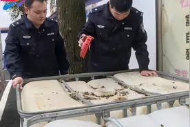 大悟两男子低价倒卖散装汽油被行拘视频封面