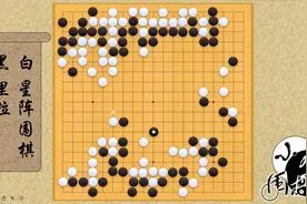 世界人工智能围棋大赛 高能战场上的AI地趟拳视频封面