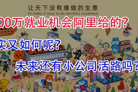 阿里：我们创造了3000万的就业岗位！事实真是如此吗？财富剥夺！视频封面