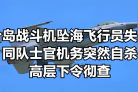 台岛战斗机坠海飞行员失踪，同队士官机务突然自杀，高层下令彻查视频封面