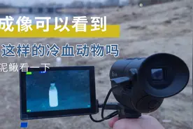 热成像可以看到蛇这样的冷血动物吗？抓条泥鳅，用热成像看一下视频封面