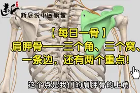 【每日一骨】肩胛骨——三个角、三个窝、一条边，还有两个重点！