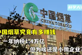 中国烟草究竟有多赚钱？一年纳税1.4万亿，为啥还是小微企业？视频封面