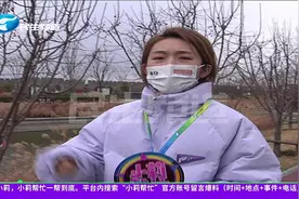 河南开封：铁丝勒进小树，百棵树干张大嘴，市民帮忙来松绑视频封面