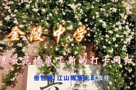 南京金陵中学4月的蔷薇花墙太美了，吸引了越来越多的人来此拍照视频封面