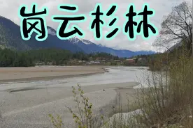 徒步318，走了15公里视频封面