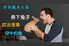 吞下兔子，吐出金鱼？揭秘世界魔术大赛3个顶级表演，太妖孽了视频封面
