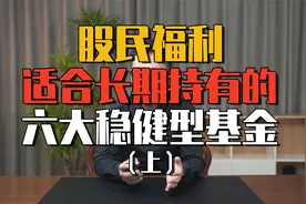 股民福利，适合长期持有的六大优质基金（建议收藏）上视频封面