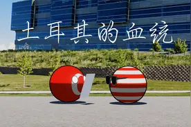 土耳其的血统【波兰球】视频封面