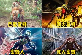 这四只奇葩蜜蜂，你觉得哪个更厉害？会喷火的大黄蜂好凶猛啊视频封面