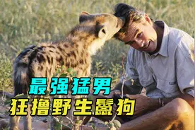 非洲猛男冒死拍摄，把野生鬣狗当宠物撸，真是太可怕了！纪录片